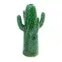 Serax wazon na kaktusy serax medium Sklep on-line