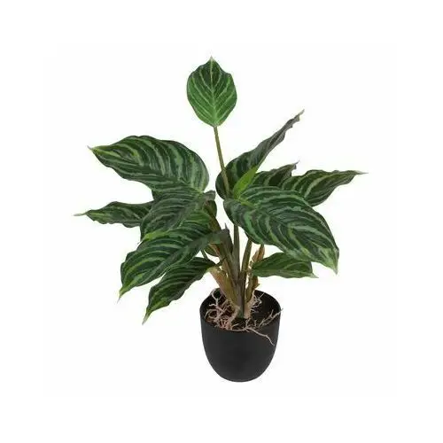 Splendid Aglaonema sztuczna 35cm w doniczce