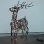 STAR TRADING Brązowy ratan - zewnętrzna dekoracja LED Deer Sklep on-line
