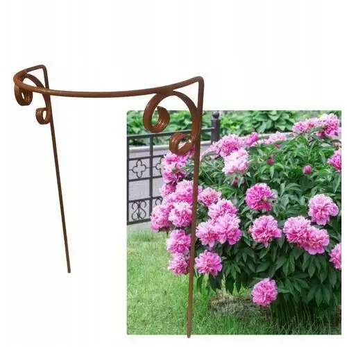 Stylowa Podpora do roślin krzewów róż hortensji Pergola solidna D40 H 60cm