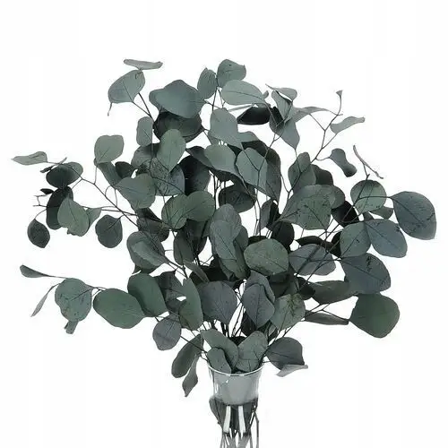 Suszony stabilizowany eukaliptus zielony, bukiet