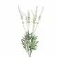 SZAŁWIA ŁĄKOWA sztuczny kwiat dekoracyjny 56 cm kremowy,zielony Sklep on-line