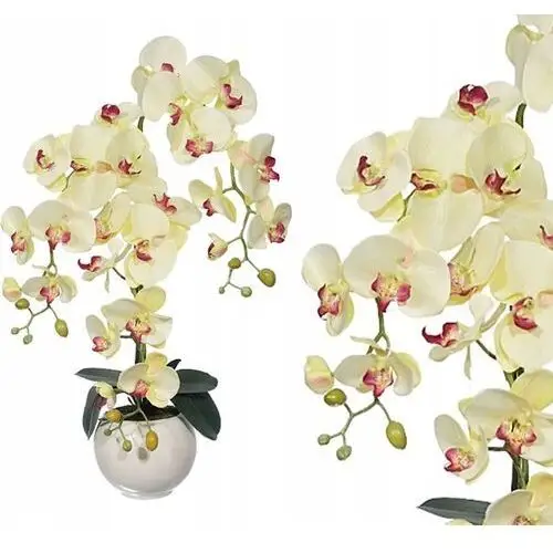 Sztuczne Storczyki Storczyk Sztuczny Kwiat Orchidea