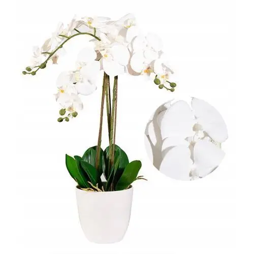 Sztuczny Storczyk Duży Biały gumowy 3 pędy roślina kwiat 70cm