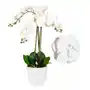 Sztuczny Storczyk Duży Biały gumowy 3 pędy roślina kwiat 70cm Sklep on-line