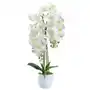 Sztuczny Storczyk orchidea Kwiat,gęsty biały 70cm Sklep on-line
