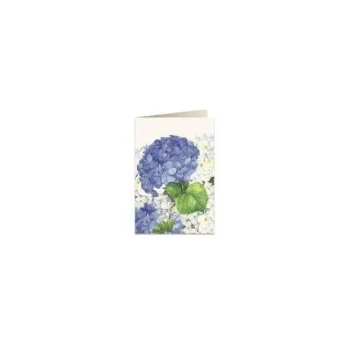 Karnet b6 + koperta 5549 niebieska hortensja Tassotti