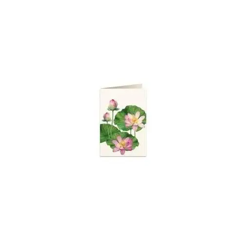Tassotti Karnet b6 + koperta 5930 kwiat lotosu