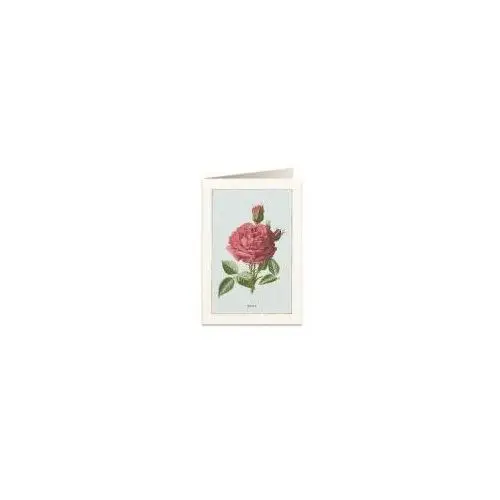 Karnet B6 + koperta 6019 Róża damasceńska