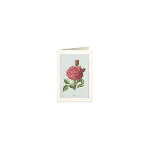 Karnet b6 + koperta 6019 róża damasceńska Tassotti