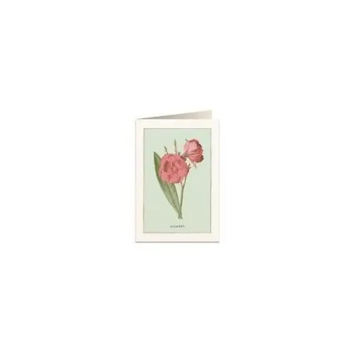 Karnet b6 + koperta 6023 oleander Tassotti