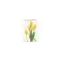 Tassotti karnet b6 + koperta 7516 żółte tulipany Sklep on-line