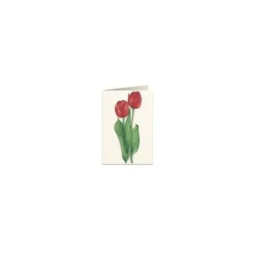 Tassotti Karnet b6 + koperta 7517 czerwone tulipany