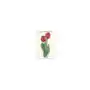 Tassotti Karnet b6 + koperta 7517 czerwone tulipany Sklep on-line