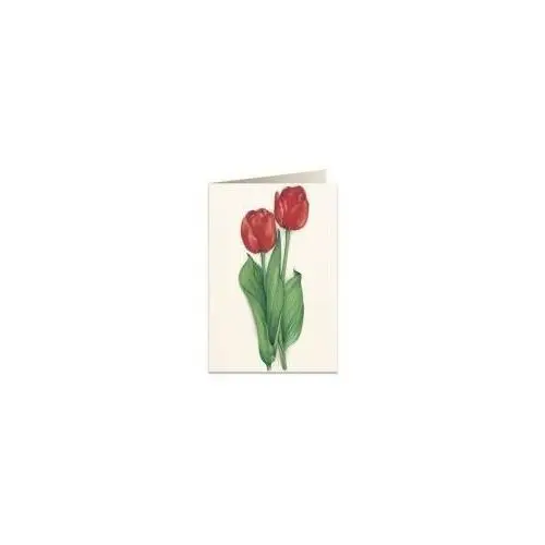 Tassotti karnet b6 + koperta 7517 czerwone tulipany