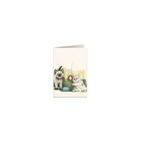 Tassotti Karnet B6 + koperta 7525 Białe kotki