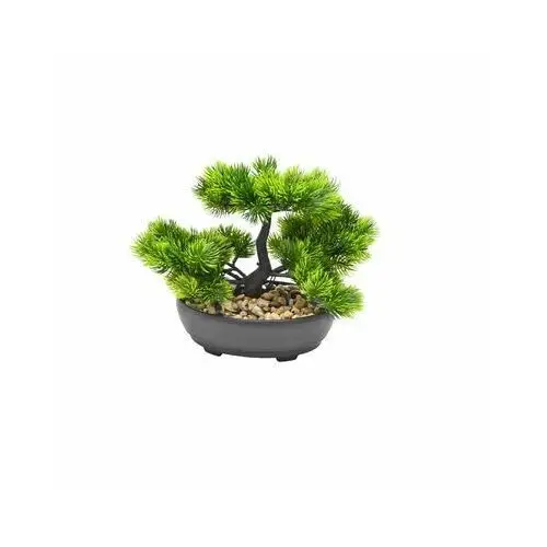 Roślina bonsai w doniczce 20 cm zielona