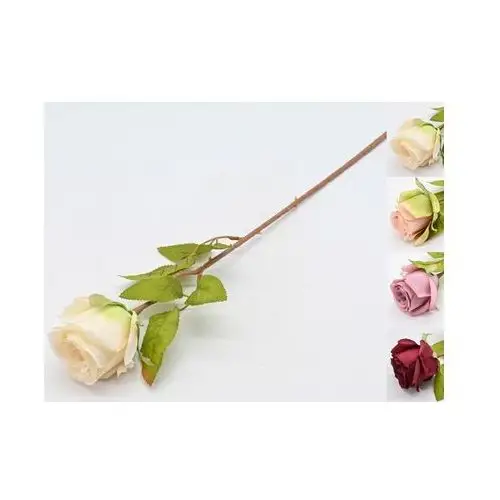Top gift Róża pojedyncza 50 cm mix kolorów