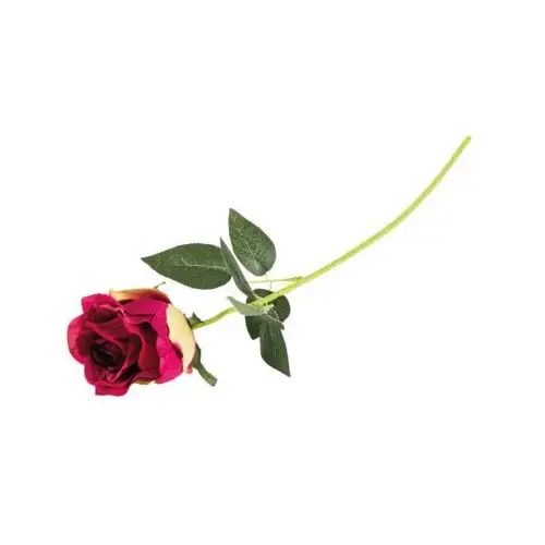Top gift Róża pojedyncza 53 cm mix kolorów