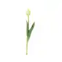 Top gift Tulipan pojedynczy gumowany mix kolorów 41 cm Sklep on-line