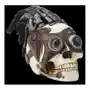 Veronese Figura czaszka steampunk kolor - (wu76300va Sklep on-line