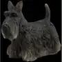 Veronese Szkocki terrier - pies wu76899aa Sklep on-line