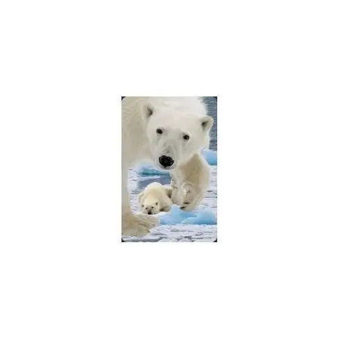 Mini kartka 3d niedźwiedź polarny z młodym Worth keeping