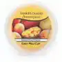 Scenterpiece Easy Melt Cup wosk do elektrycznego kominka Mango Peach Salsa 61g Sklep on-line