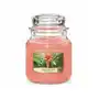 Yankee Candle The Last Paradise świeczka zapachowa 411 g unisex Sklep on-line