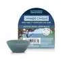 Wosk bayside cedar yankee cand Yankee candle Sklep on-line