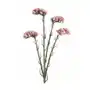 ZATRWIAN WRĘBNY sztuczny kwiat dekoracyjny z płatkami z jedwabistej tkaniny 64 cm różowy Sklep on-line