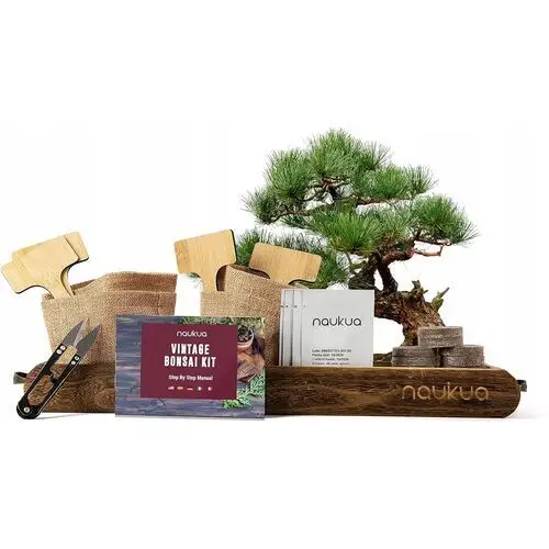 Zestaw Startowy Bonsai 4 Drzewka Unikalny Pomysł Własna Hodowla