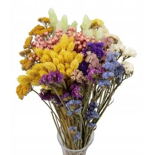 Zestaw suszonych kwiatów do wazonu Spring zatrwian phalaris krwawnik bukiet